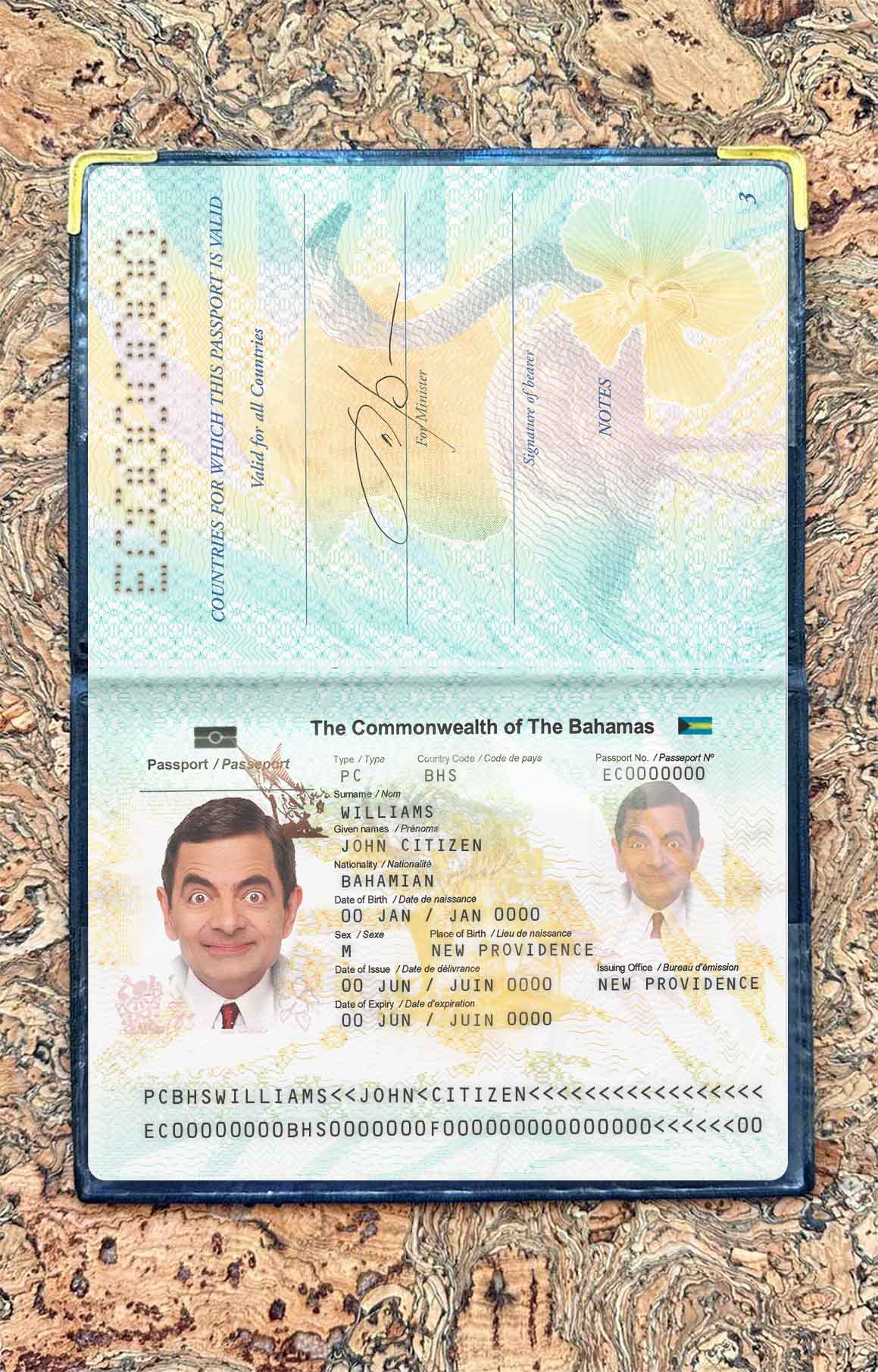 Bahamas passport photo look PSD template